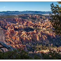 Late Day Light at Bryce Point