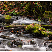 Fall in the Gorge