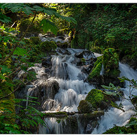 Wahkeena Springs Trail