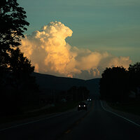 Evening Drive