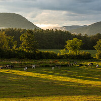 August in the Green Mountains