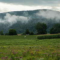 Late Summer in the Green Mountains, VT