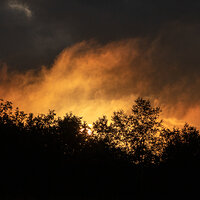August Fire