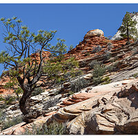 Zion - East Entrance