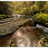 Sweet Creek