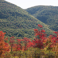 Beginning of Autumn in the Green Mountains