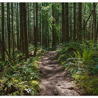 Siouxon Trail