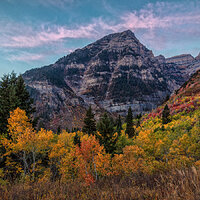 201002-14511-5DS R.jpg