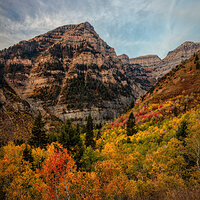 201002-14521-5DS R.jpg