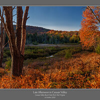 Canaan Valley Late Afternoon.jpg