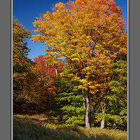 Autumn Fireworks Canaan Valley.jpg