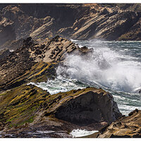 Shore Acres Wave