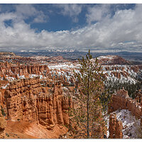 Fresh Snow at Bryce