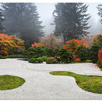 Fog Filter Panorama