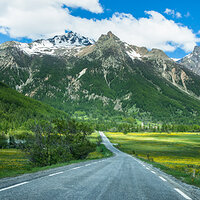 Spring Peaks
