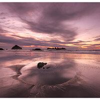 Bandon Kittens Sunset