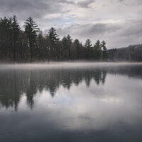 Fog on the pond