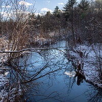 Serene Winter Stream