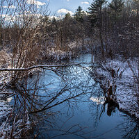 Serene Winter Stream