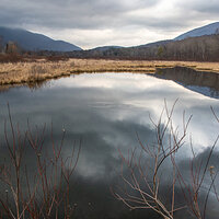 Marsh View