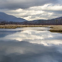 Between the Green Mountains