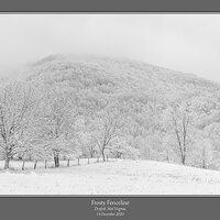Fenceline Snow BW Cr1.jpg