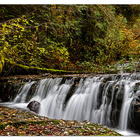 Ledge Falls