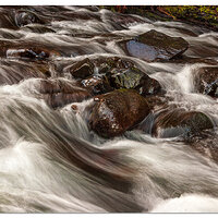 Going with the Flow