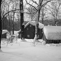 20201217_IMG_6843_AmyEarl.jpg