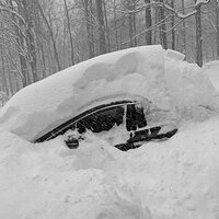 20201217_PXL_20201217_133139993.MP_AmyEarl.jpg