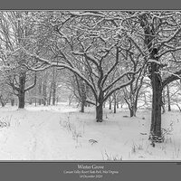 Winter Grove Canaan.jpg