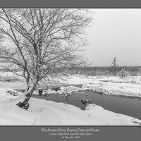 Blackwater River Beaver Dam Winter.jpg