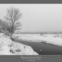 Blackwater Riverbank Winter.jpg