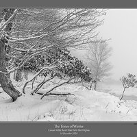 Tones of Winter.jpg