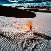 Expanse