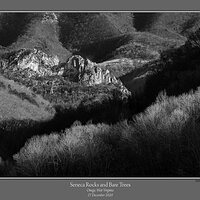 Seneca Rocks Bare Trees.jpg