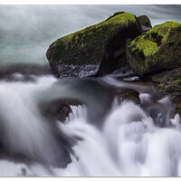 Mossy Flow