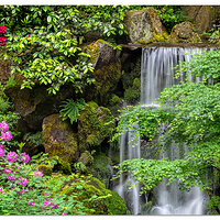 Sunday Serenity 2