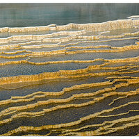 Mammoth Abstraction