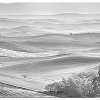 Dusty Palouse