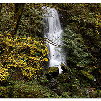 Merriman Falls