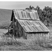 Palouse Barn