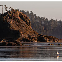 Second Beach