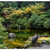Strolling Garden
