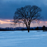 Western Vermont Winter Scene