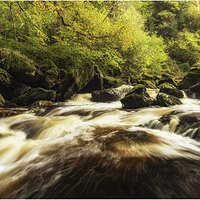 Dargle River.jpg
