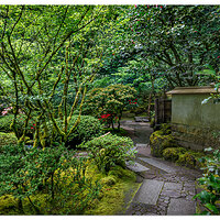 Tea Garden Path