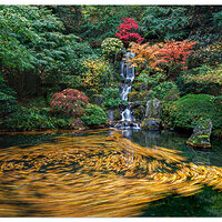 Heavenly Falls