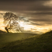 Living for Sunset.jpg