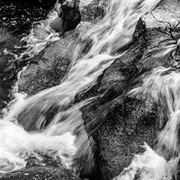 LRCC_sRGB_FW_SpringStream_BW_TAP_3712.jpg
